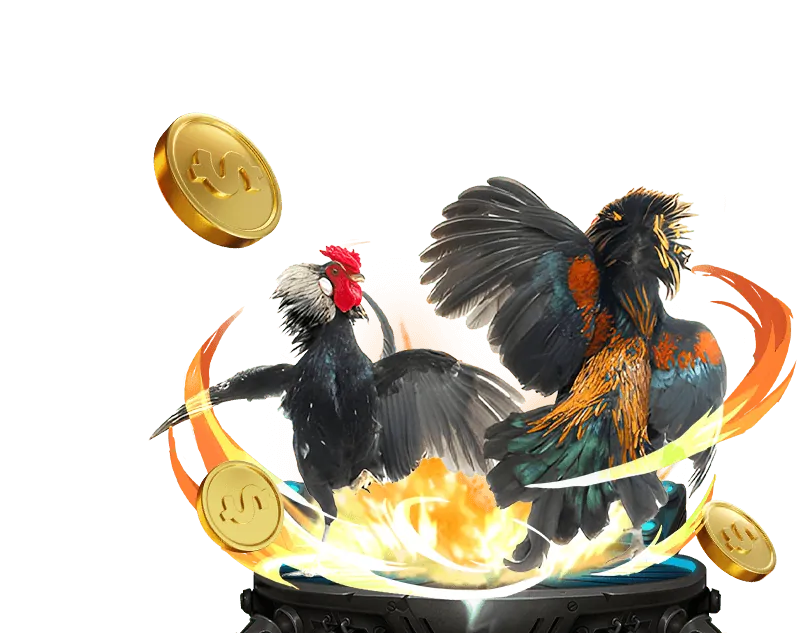 Đá gà cựa sắt tại 6ff6 đăng nhập