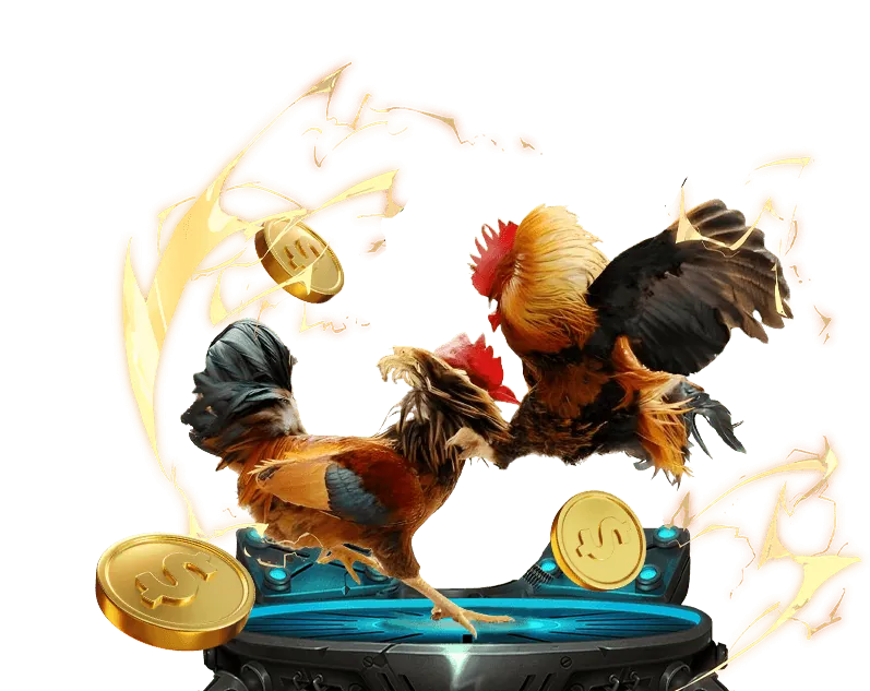 Đá gà cựa dao tại 6ff6 đăng nhập